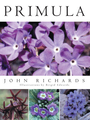 cover image of Primula